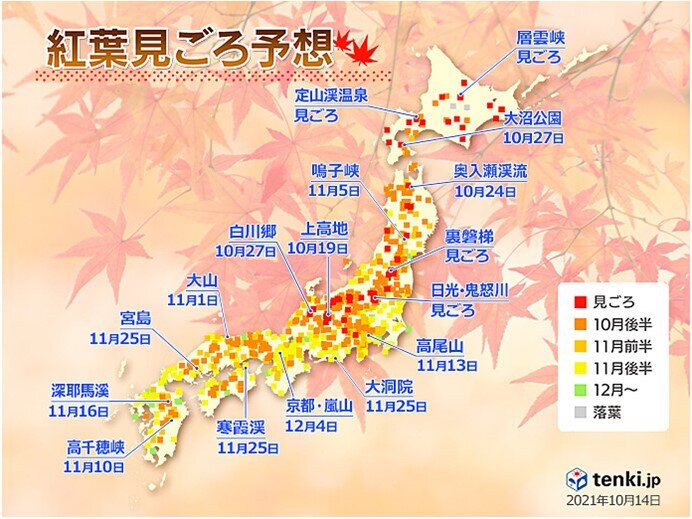 紅葉　今週末　見ごろの所は