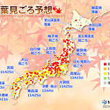 2021年　第3回「紅葉見ごろ予想」　日本気象協会発表　見ごろは平年並の所が多い