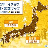 名古屋と神戸でイチョウが黄葉　平年より1週間以上早く