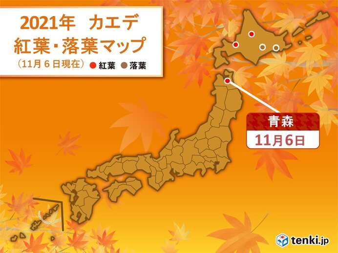 青森でカエデ紅葉　平年より一週間早く　本州では今シーズン初めての観測