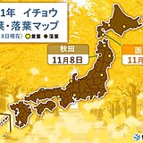 函館でカエデとイチョウが紅葉　秋田は早くもイチョウが落葉　紅葉が見ごろの所は?