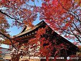 関西は紅葉真っ盛り　来週は高い山で雪も