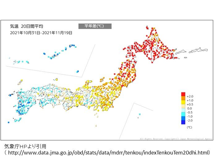 北日本の季節の進みゆっくり