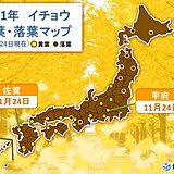 24日　カエデ紅葉やイチョウ黄葉の便りが続々と