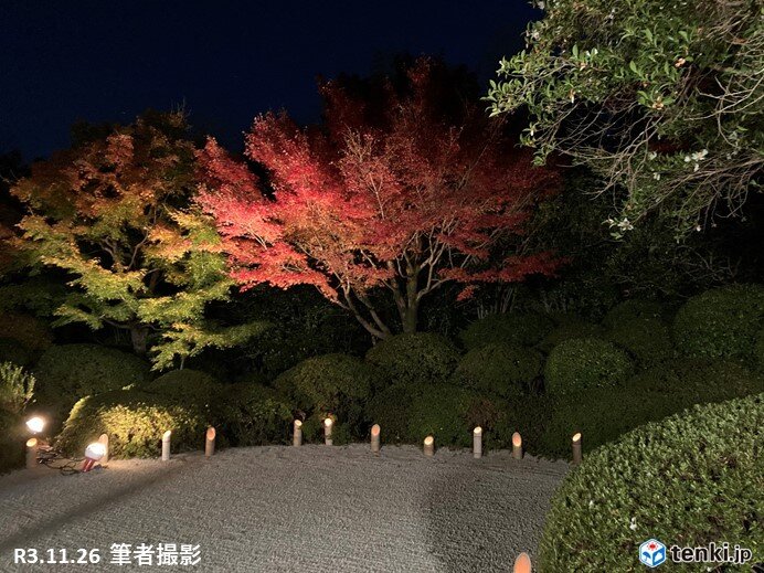 愛知県安城市　丈山苑の紅葉情報　週末の天気は?