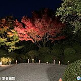 愛知県安城市　丈山苑の紅葉情報　週末の天気は?