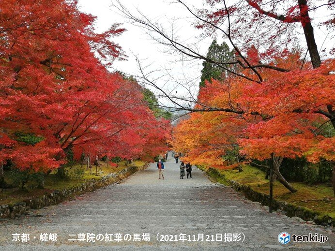 紅葉シーズン　週末は晴天で小春日和も　行楽や紅葉狩りに最適に