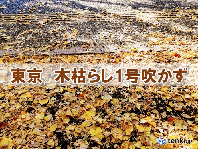 東京地方　「木枯らし1号」の発表なし　2019年以来2年ぶり