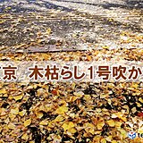 東京地方　「木枯らし1号」の発表なし　2019年以来2年ぶり