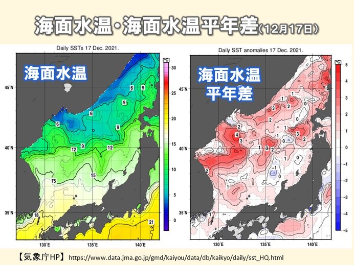 この冬 海面水温が高い