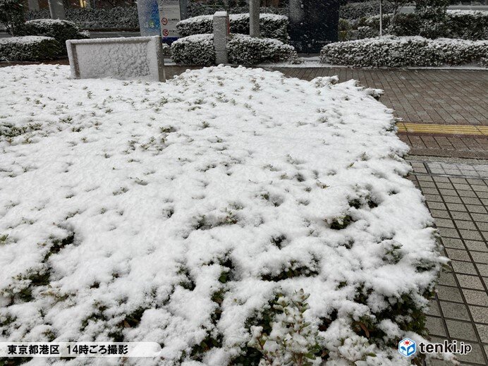 16時の積雪 東京6センチ 関東の雪はどこでどれくらい積もった 各地の様子は 気象予報士 日直主任 22年01月06日 日本気象協会 Tenki Jp