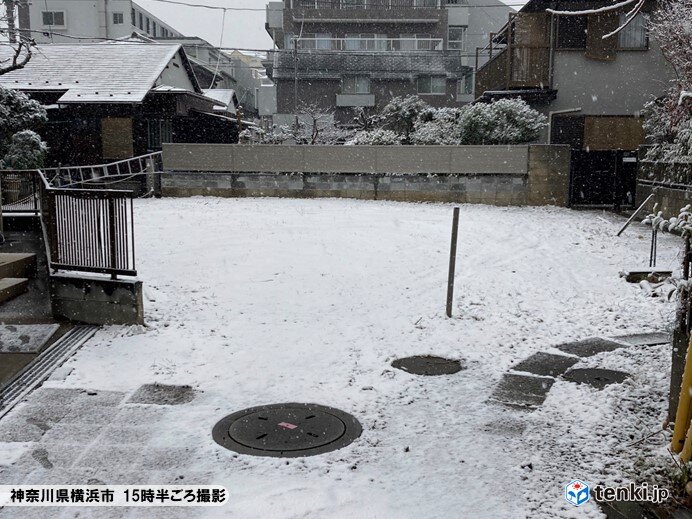 神奈川県横浜市の様子