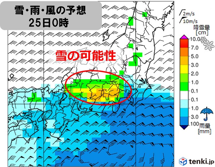 今回の南岸低気圧　どこで雪?