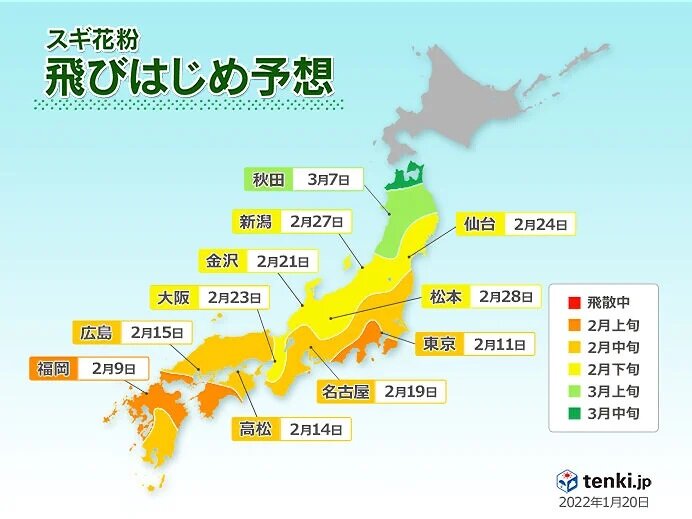 2月上旬に花粉シーズン到来