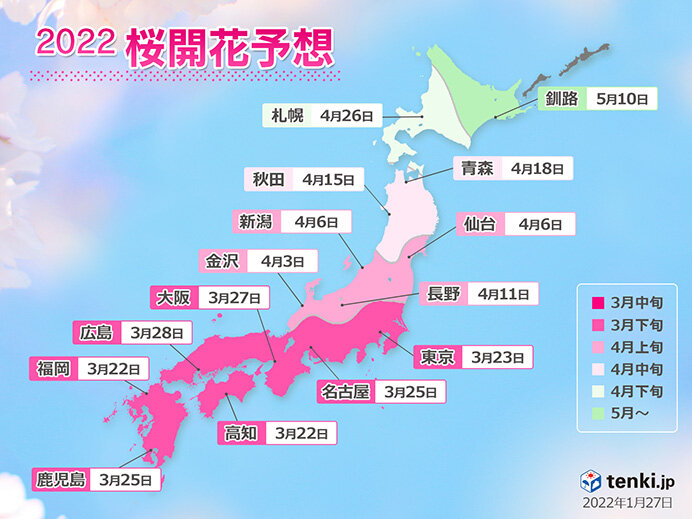 九州～北海道　桜の開花予想は?