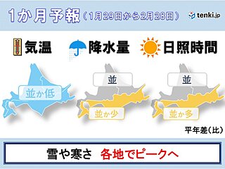北海道の1か月予報 いよいよ寒さと雪のピークへ