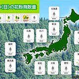 きょう30日の花粉情報　飛散開始前でも早めの対策を　今年の花粉の飛散傾向は?