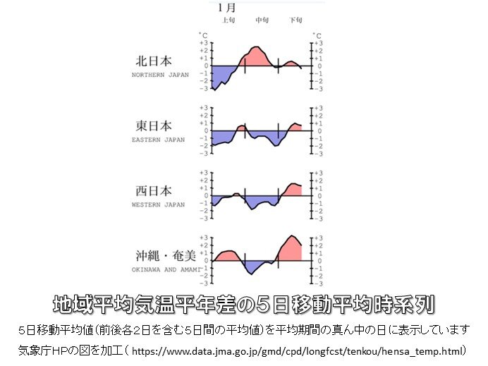 1月の気温経過