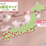 東京でウメが開花　 那覇はサクラ満開