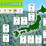 きょう3日の花粉情報　九州～関東　少ない予想　スギ花粉の飛散開始　いつから