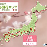 名古屋や熊谷でウメが開花　宮古島ではヒカンザクラが満開