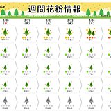 週間花粉情報　九州は本格的な花粉シーズン到来　飛散開始した東京も対策を