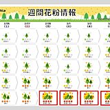 週間花粉情報　福岡は「非常に多い」予想でピークへ　東京・大阪も花粉が増加　対策を