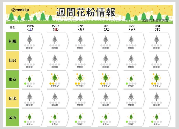 花粉飛散が本格化