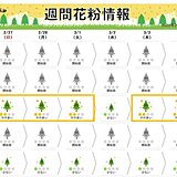 週間花粉情報　東京はあすから「やや多い」　九州は来週ピークに