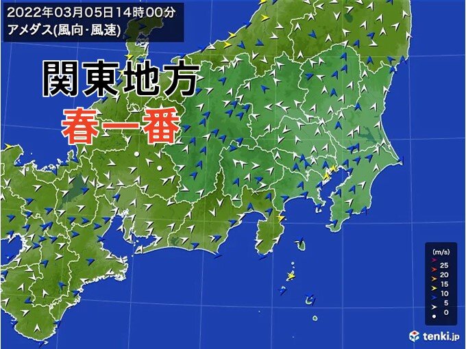 関東地方で「春一番」　昨年より1カ月以上遅く