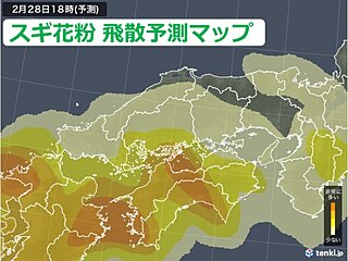 中国地方3月スタートは雨　今週末は寒の戻り　気温変化とスギ花粉の本格的飛散に注意