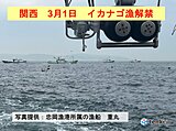 関西　春を告げるイカナゴ漁解禁　山でも雨