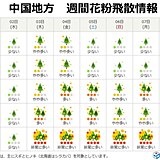 中国地方　スギ花粉本格飛散　非常に多くのスギ花粉が飛ぶ所も