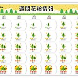 週間花粉情報　九州などスギ花粉のピーク　東京も「多く」これからが本番　対策万全に
