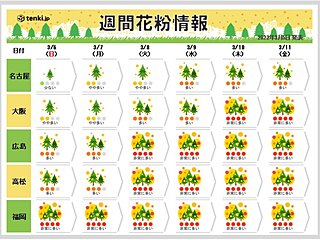 週間花粉情報　九州は連日の「非常に多い」予想　中国から関東も日ごとに飛散量増える