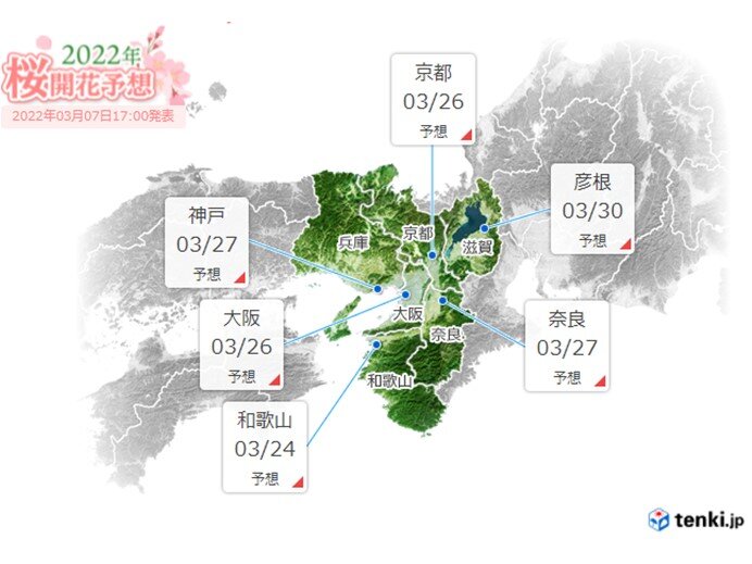 桜の開花予想