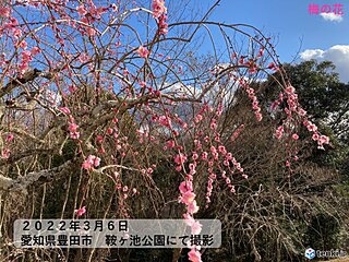 東海地方　光の春から「気温の春」へ　日に日に気温上昇　週末からは春本番の陽気