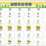 花粉情報　関東～九州でピーク続く　週末にかけて非常に多く飛ぶ予想　ピークいつまで