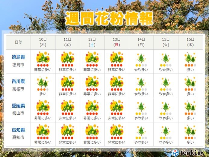 スギ花粉が最盛期に