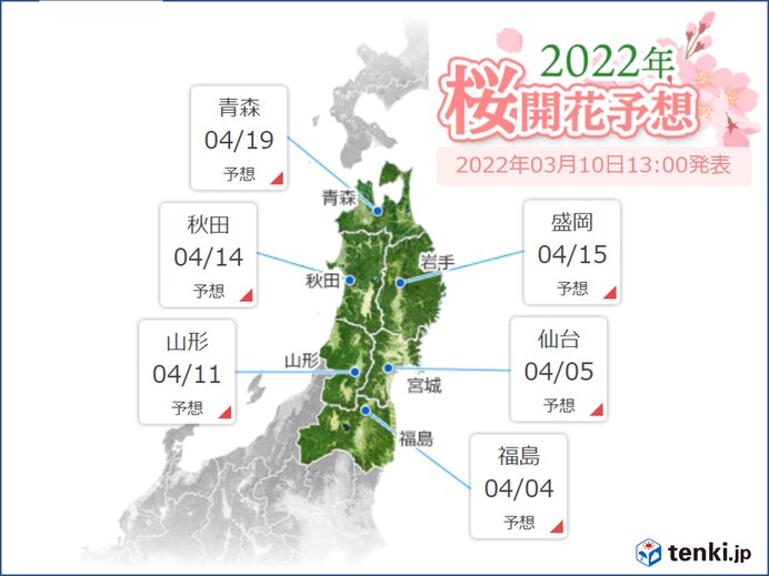 東北　サクラ開花は平年より早い予想　今週末は日曜から春雨　来週は寒の戻り