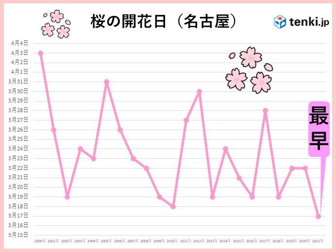 東海地方の桜の開花・満開はいつ?