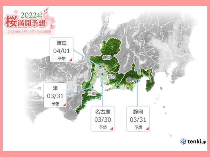 東海地方　週末から更に気温上昇　春本番の陽気がしばらく続く　桜の開花はいつ頃?_画像