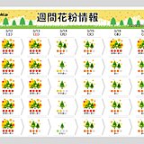 土日はスギ花粉がピーク　東京・大阪など最高レベルの「非常に多い」　最大級の対策を