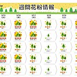 九州～関東　17日(木)まで花粉大量飛散　雨の前日まで「非常に多い」や「多い」