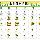 スギ花粉に加えて東京都内などヒノキ花粉の飛散始まる　雨のあと大量飛散も