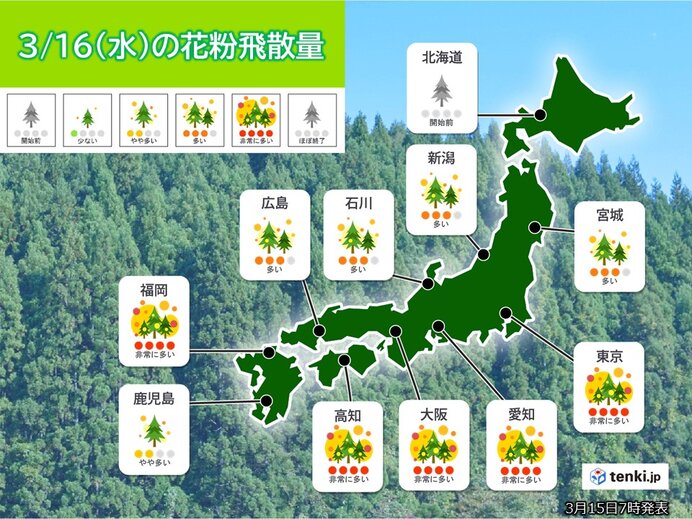 東京などヒノキも飛散開始　16日(水)も花粉大量飛散　九州～関東は「非常に多い」