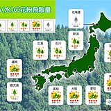 東京などヒノキも飛散開始　16日(水)も花粉大量飛散　九州～関東は「非常に多い」