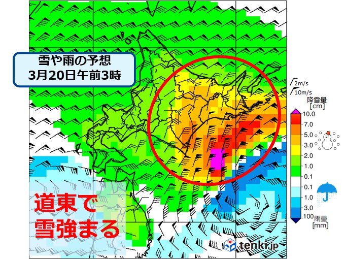 19日(土)～20日(日)　北海道太平洋側で大雪や吹雪の所も