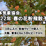 日本気象協会　2022年春の花粉飛散予測(第5報)　3月に入り各地でピーク突入