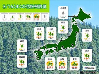 16日の花粉情報　北陸や関東から九州　多い～非常に多い　西の地域を中心に黄砂も